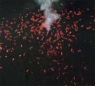 Xplosive Entertainments Confetti Burst Pyrotechnics